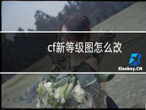 cf新等级图怎么改