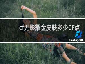 cf无影耀金皮肤多少CF点