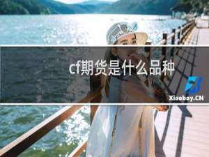 cf期货是什么品种