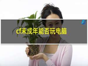 cf未成年能否玩电脑