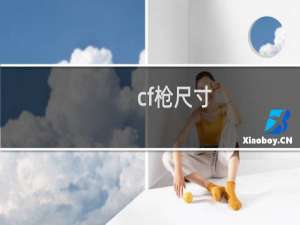 cf枪尺寸