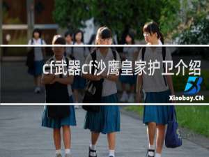 cf武器cf沙鹰皇家护卫介绍