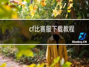 cf比赛服下载教程