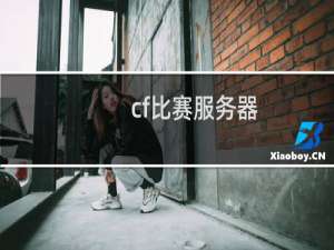 cf比赛服务器