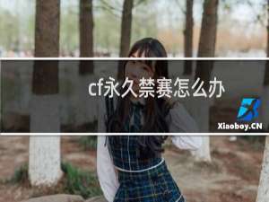 cf永久禁赛怎么办