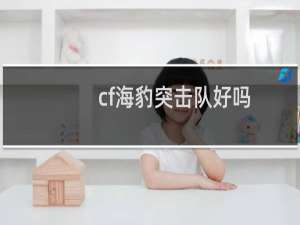 cf海豹突击队好吗