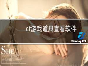 cf游戏道具查看软件