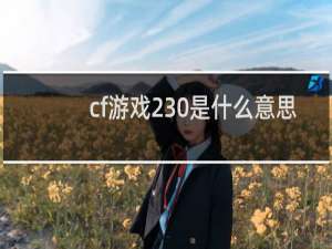 cf游戏230是什么意思