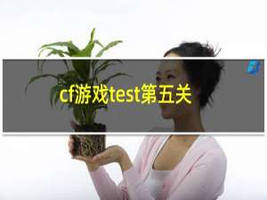 cf游戏test第五关