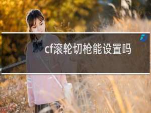 cf滚轮切枪能设置吗