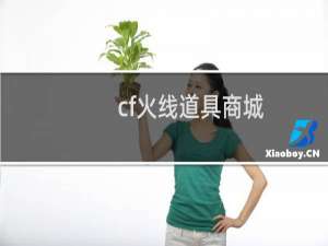 cf火线道具商城