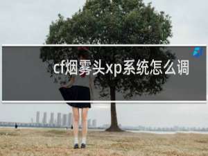 cf烟雾头xp系统怎么调