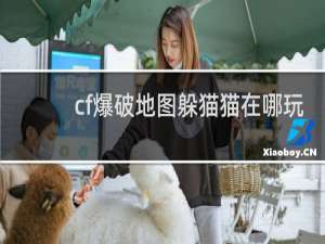 cf爆破地图躲猫猫在哪玩