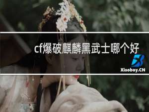 cf爆破麒麟黑武士哪个好