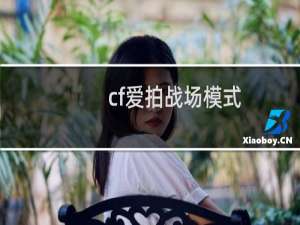 cf爱拍战场模式