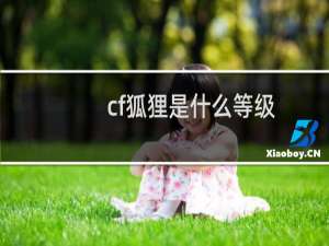 cf狐狸是什么等级