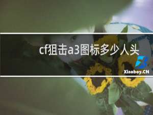 cf狙击a3图标多少人头
