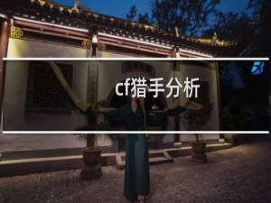 cf猎手分析