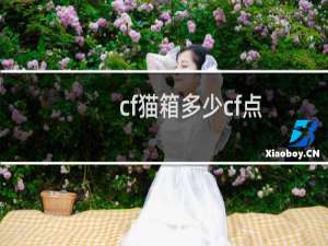 cf猫箱多少cf点