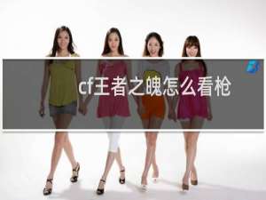 cf王者之魄怎么看枪