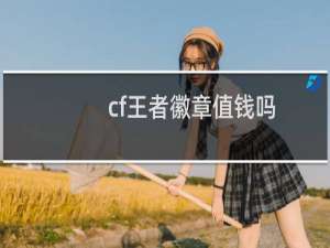 cf王者徽章值钱吗