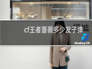 cf王者蔷薇多少发子弹