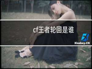 cf王者轮回是谁