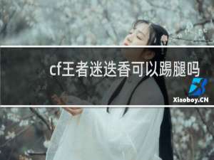 cf王者迷迭香可以踢腿吗