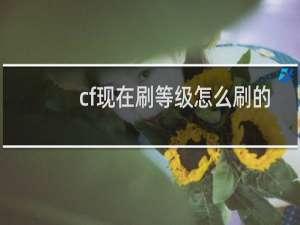 cf现在刷等级怎么刷的