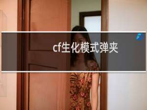 cf生化模式弹夹