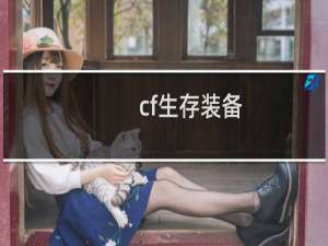 cf生存装备