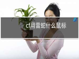 cf用雷蛇什么鼠标