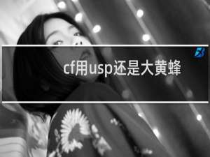 cf用usp还是大黄蜂