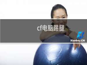cf电脑踢腿