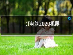 cf电脑  机器