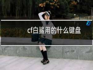 cf白鲨用的什么键盘