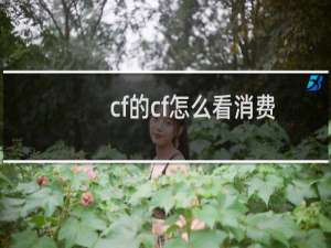 cf的cf怎么看消费