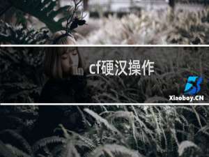 cf硬汉操作