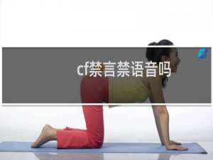 cf禁言禁语音吗