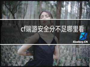 cf端游安全分不足哪里看