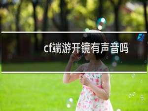 cf端游开镜有声音吗