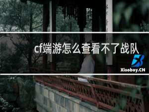 cf端游怎么查看不了战队