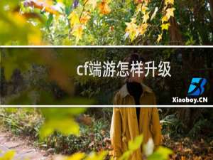 cf端游怎样升级