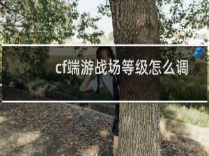 cf端游战场等级怎么调