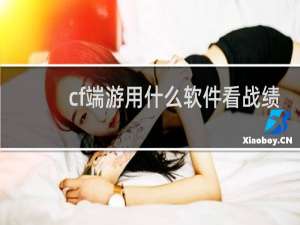cf端游用什么软件看战绩