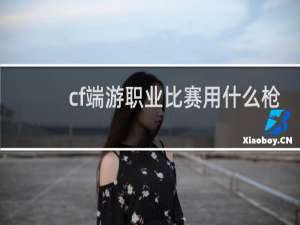 cf端游职业比赛用什么枪