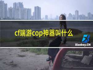 cf端游cop神器叫什么