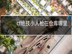 cf绝技小人枪在仓库哪里
