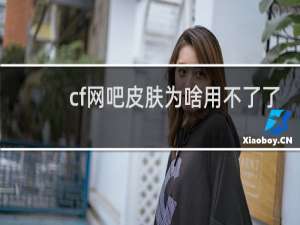 cf网吧皮肤为啥用不了了