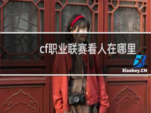 cf职业联赛看人在哪里